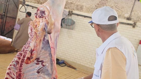 عيد الأضحى 2026.. “أونسا” تؤكد مرور المناسبة في ظروف صحية مُرضية وتكشف حصيلة تدخلاتها الميدان