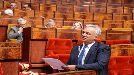 كريم زيدان يدافع عن حصيلة الحكومة الاستثمارية: الميثاق الجديد عزز العدالة المجالية ووجّه المشاريع نحو الأقاليم المهمشة