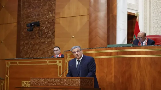 أخنوش: الحكومة مستعدة لإعادة تعليق الرسوم الجمركية لضبط أسعار اللحوم