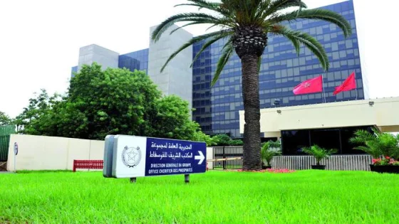 تقرير 2025 لمؤسسة OCP.. 256 مشروعًا في 16 دولة ورهان الانتقال من تمويل المبادرات إلى صناعة الأثر المستدام