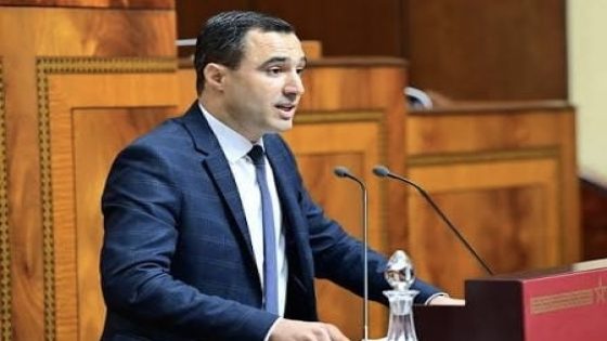 توحتوح يخرج عن صمته بشأن اتهامات «دعم الأغنام»: وضعت الملف أمام القضاء ولن توقفني حملات التشويش