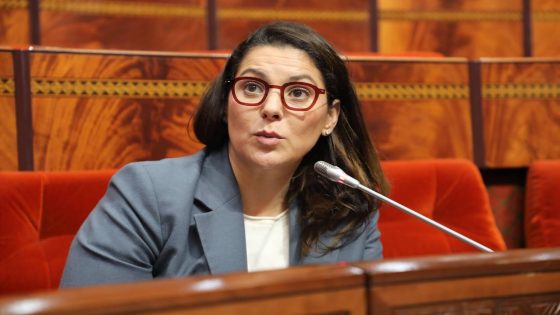 وفق وثائق أوردها التحقيق.. فاطمة الزهراء المنصوري كانت تملك 19% من “دمنات” قبل نقل حصتها إلى شقيقها